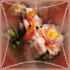 bd0e6eb0.gif