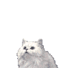 chat_046.gif