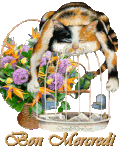 630d2d73.gif