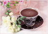 570079chats.gif