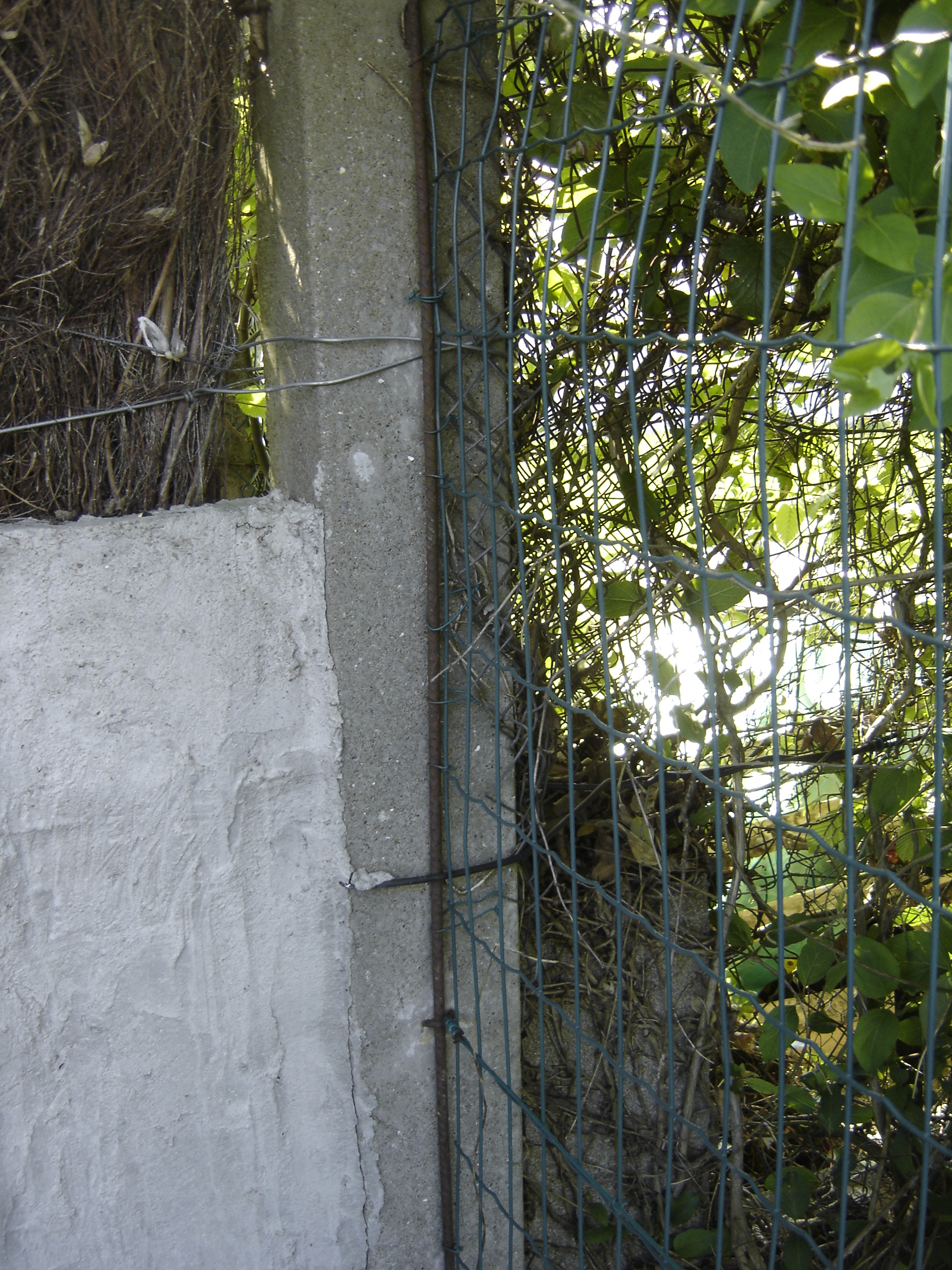 DSC04767.JPG