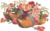 wrh43wbp_1.gif