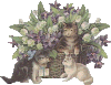 a5a8cc60.gif