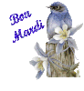 UjqC12W9Lsw6vIuVKIL8j6AelRM.gif