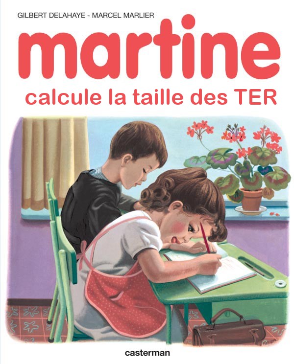 Martine TER 1.jpg