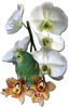 hm9b24hv.png