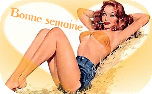 http://idata.over-blog.com/4/20/46/52/gifs/semaine.gif