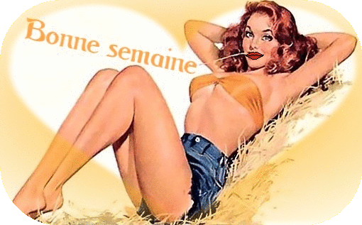 http://idata.over-blog.com/4/20/46/52/gifs/semaine.gif