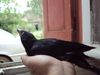 DSC00835.JPG