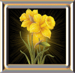 7c9747cc.gif