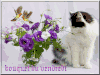 6fa4875a.gif