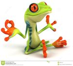 grenouille-de-zen-20655157.jpg