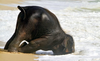 6360_d8ed-505x309.png