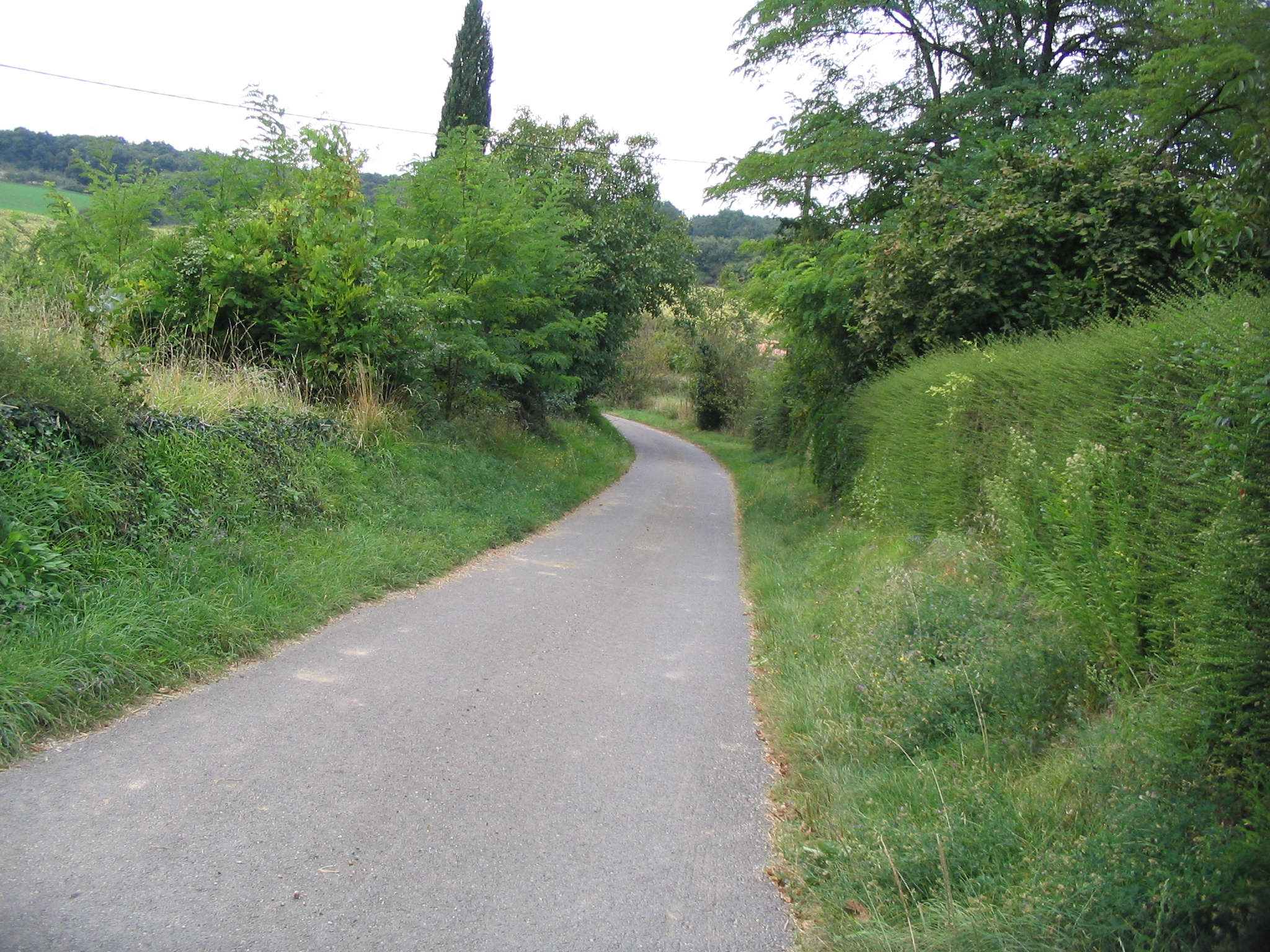 IMG_0004.JPG
