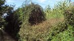 DSC00959.JPG
