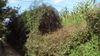 DSC00959.JPG