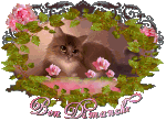 9beca4fb.gif