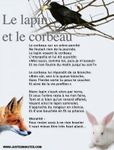 lapin-corbeau.jpg