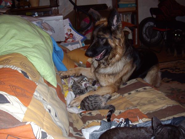 IMGP0600.JPG