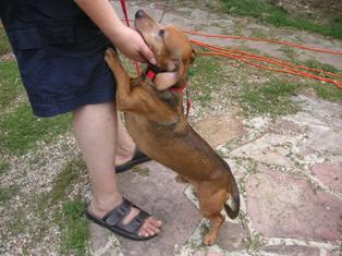 31_aou14[1].jpg