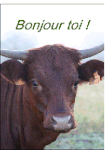 458-Bonjour%20toi%20la%20vache_maxi[1].gif