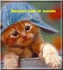 bonjour.jpg