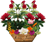 802425bonnejournedentelledelune430.gif