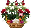 802425bonnejournedentelledelune430.gif
