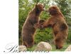 Bisoudours.jpg