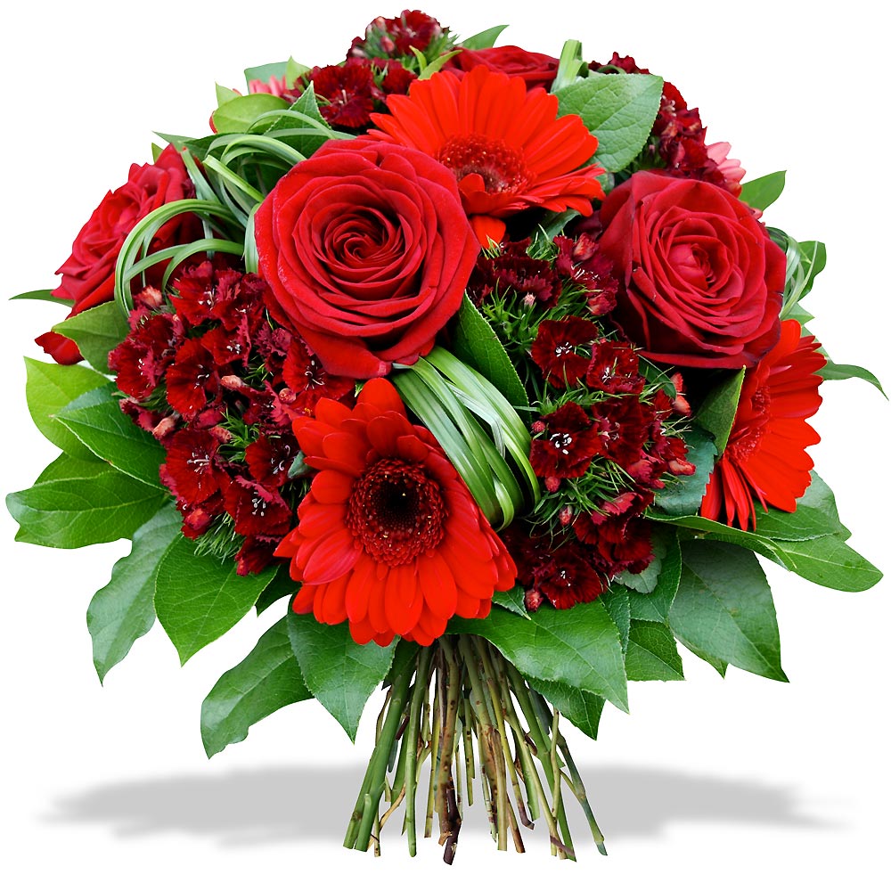 bouquet-rond-rose-fleur-oeillet-gerbera-100-rouge_16729.jpg
