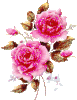 c6a4ca42.gif