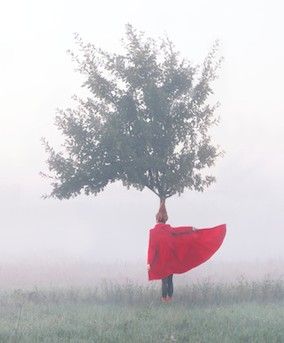 ArbreCheveux Maia Flore.jpg