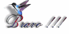 BravoBlue-1.gif