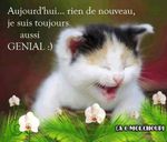 génial.jpg