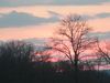 DSCF1036.JPG