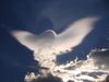 nuage_ange-ange-253ee7f.jpg