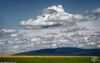 20081024140006_champs_nuages.jpg