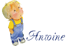 Rlaborimprobus-antoine.gif
