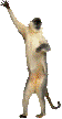 9hlr4a.gif