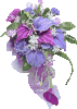 6fa4875a.gif