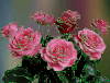 8fff4a8f.gif