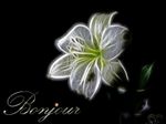 bjA0509.jpg