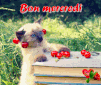 b4ef348e.gif