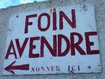 foin.jpg