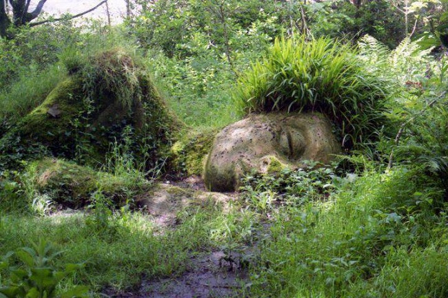 Art-Nature.jpg