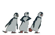 3059774591_1_9_Vyv729yM.gif