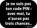 pin.png