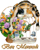 630d2d73.gif