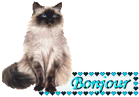 !cid_FC216DDBA41C47178C18F3474E257C9C@PCdeBijou.gif