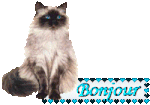 !cid_FC216DDBA41C47178C18F3474E257C9C@PCdeBijou.gif